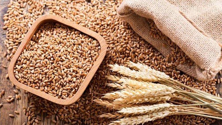 Сырье для производства этанола «Пшеничная слеза»