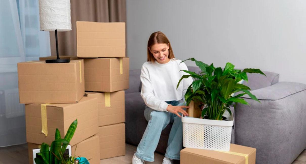 Обстановка в новом жилье